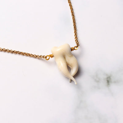 Molary Pendant Necklace