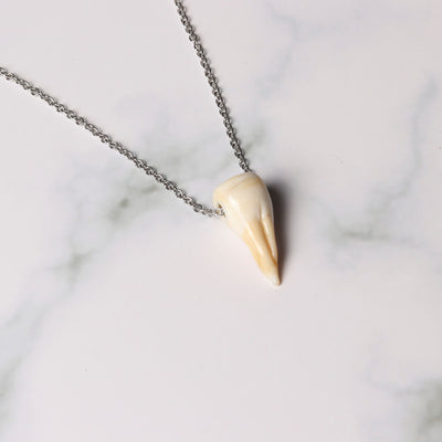 Teeth Silver Pendant Necklace